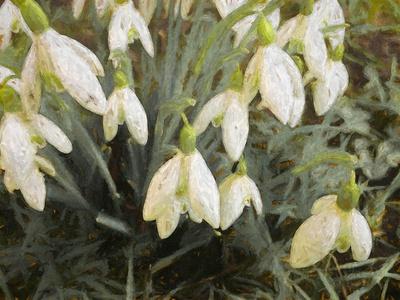 Giclee Print, , small