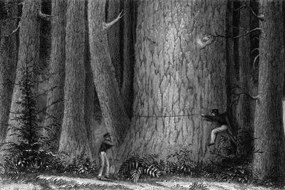 Giclee Print, , small