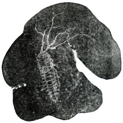 Giclee Print, , small