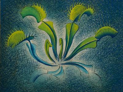 Giclee Print, , small