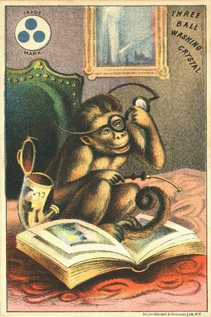 Giclee Print, , small