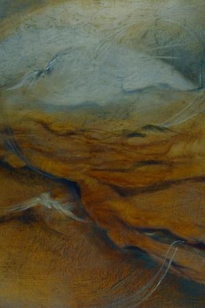 Photographic Print, , small