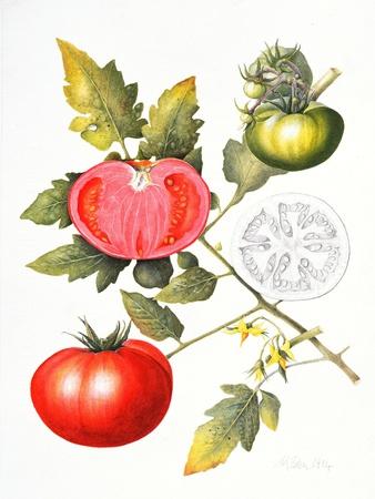 Giclee Print, , small