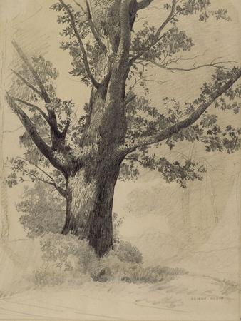 Giclee Print, , small