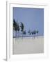 Cable Beach, 2008-Alessandro Raho-Framed Giclee Print