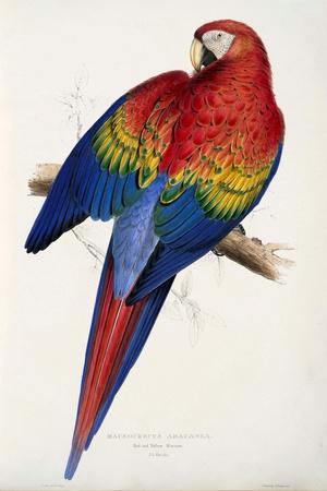 Giclee Print, , small