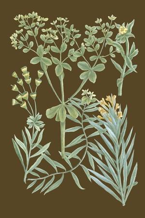 Art Print, , small