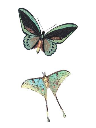 Art Print, , small