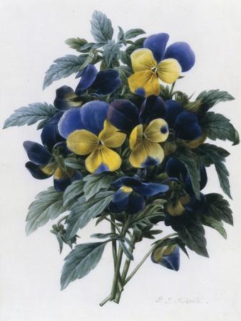 Giclee Print, , small