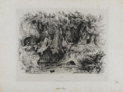 Giclee Print, , small