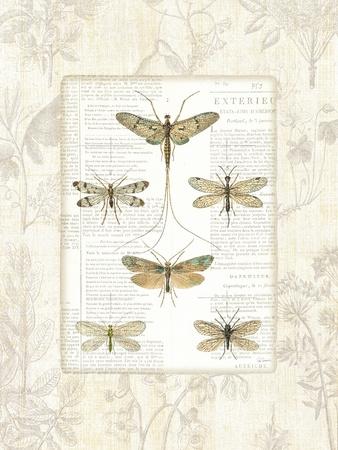 Art Print, , small