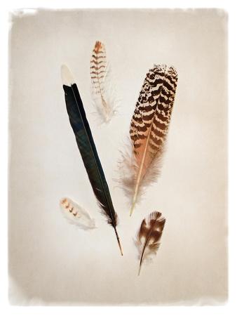 Art Print, , small