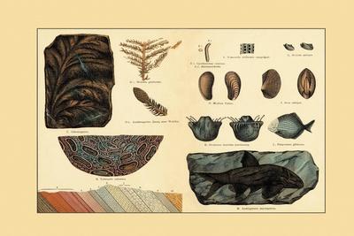 Art Print, , small