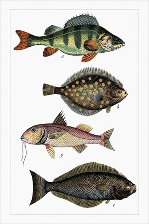 Art Print, , small