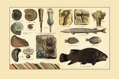 Art Print, , small
