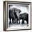 Elephant III-Debra Van Swearingen-Framed Art Print