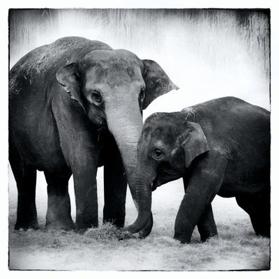 Art Print, , small