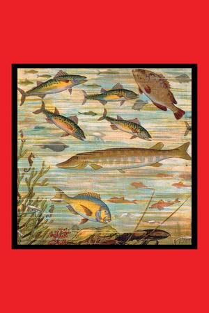 Art Print, , small