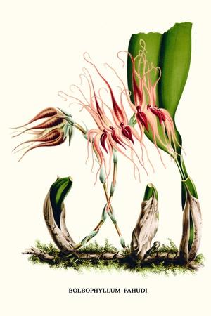 Art Print, , small