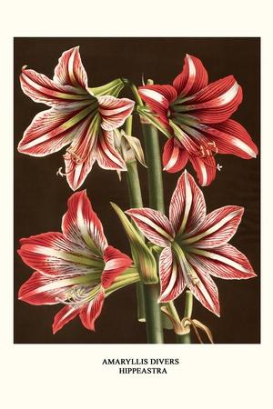 Art Print, , small