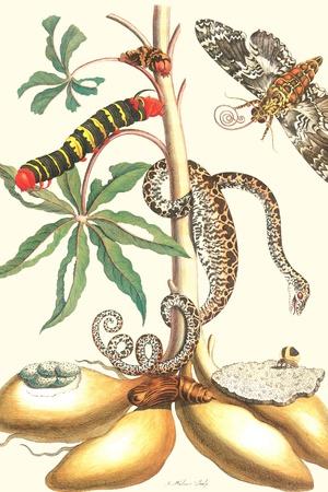 Art Print, , small