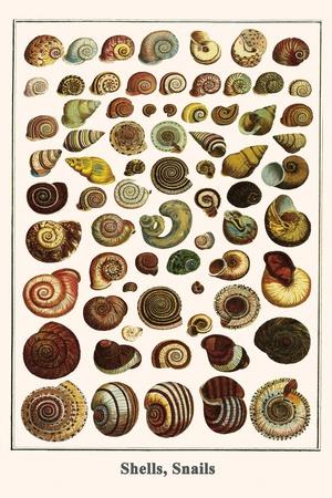 Art Print, , small