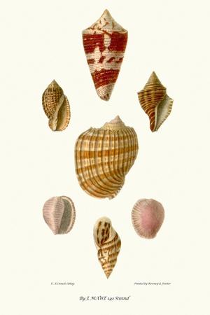 Art Print, , small