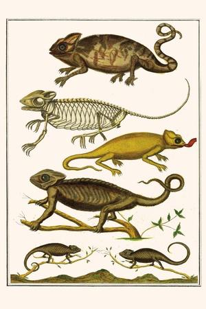 Art Print, , small