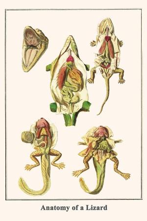 Art Print, , small