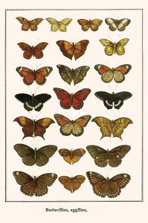 Art Print, , small