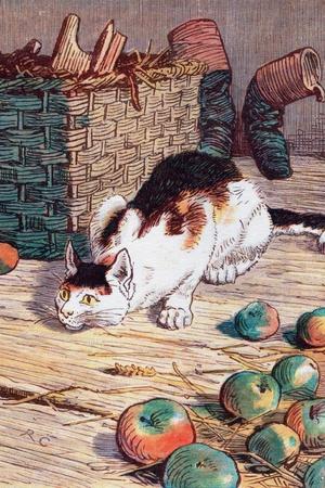 Art Print, , small