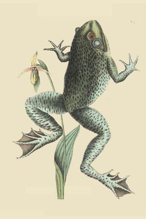 Art Print, , small