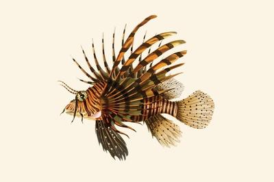 Art Print, , small