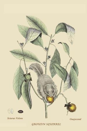 Art Print, , small