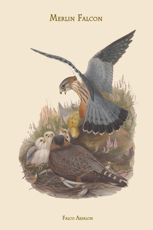 Art Print, , small