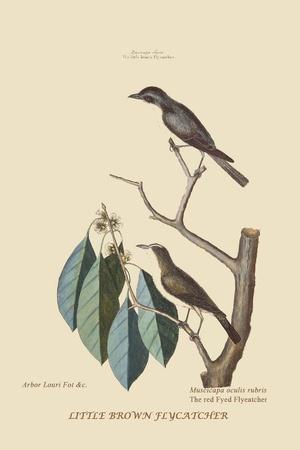 Art Print, , small