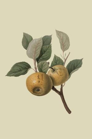 Art Print, , small