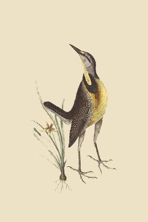 Art Print, , small
