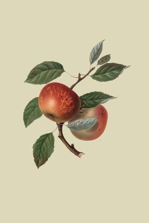 Art Print, , small