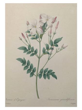 Art Print, , small