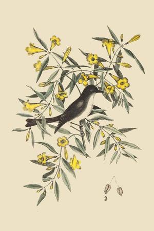 Art Print, , small