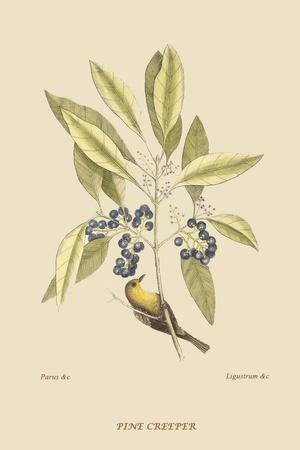 Art Print, , small