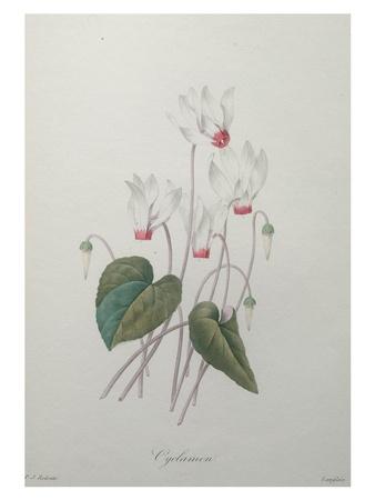 Art Print, , small