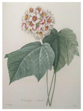 Art Print, , small
