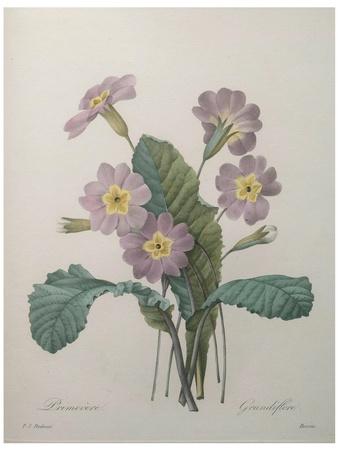 Art Print, , small