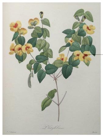 Art Print, , small