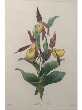 Art Print, , small