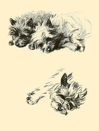 Art Print, , small