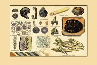 Art Print, , small