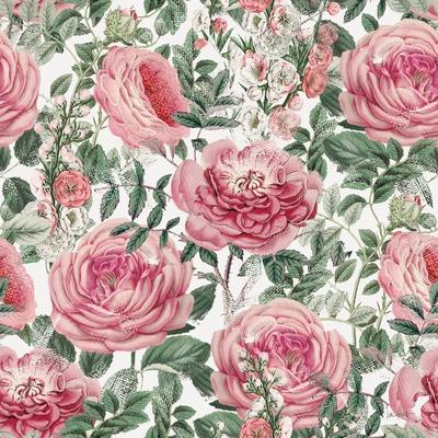 Art Print, , small